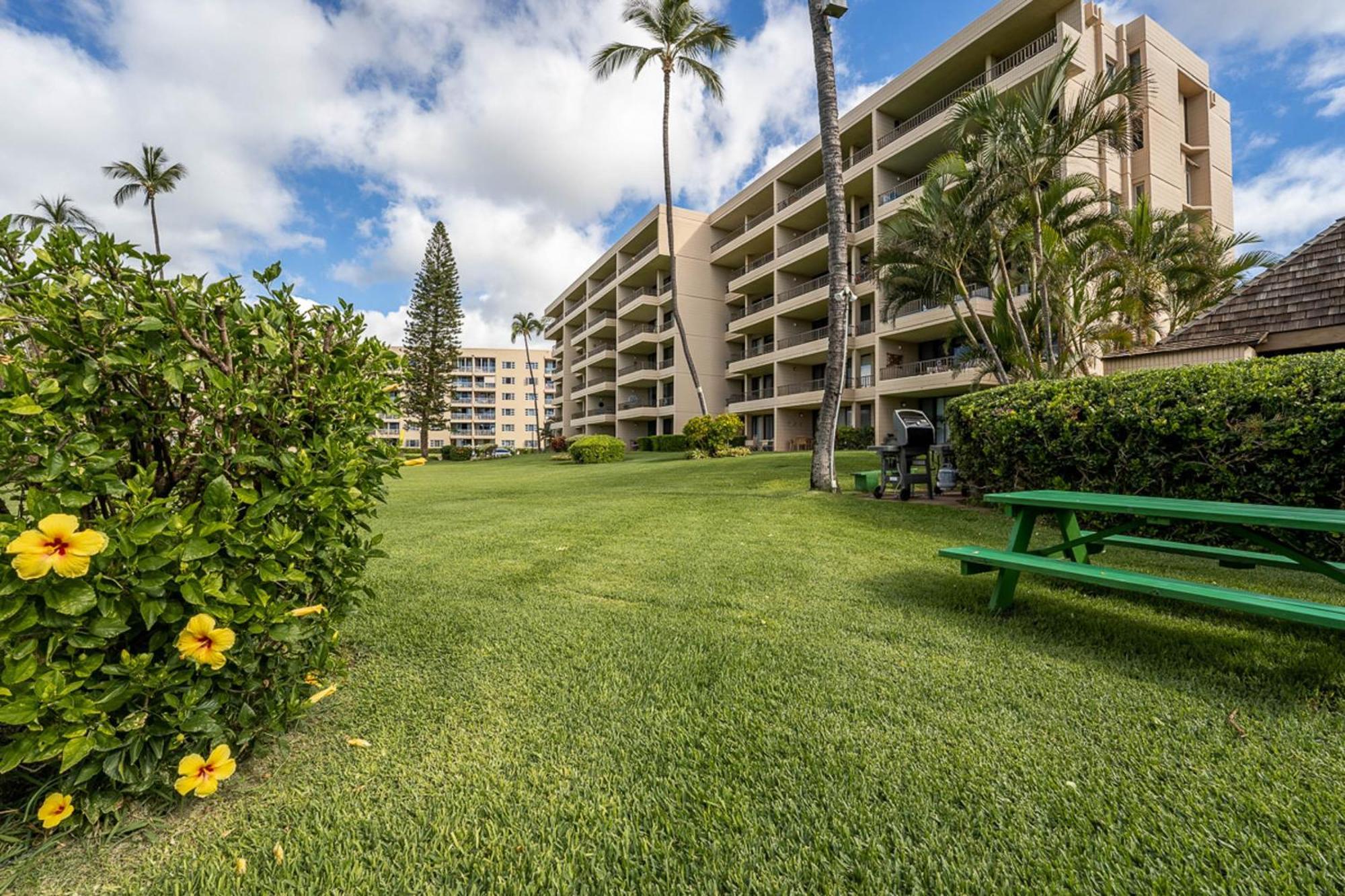 Koa Lagoon 506 Kihei Dış mekan fotoğraf