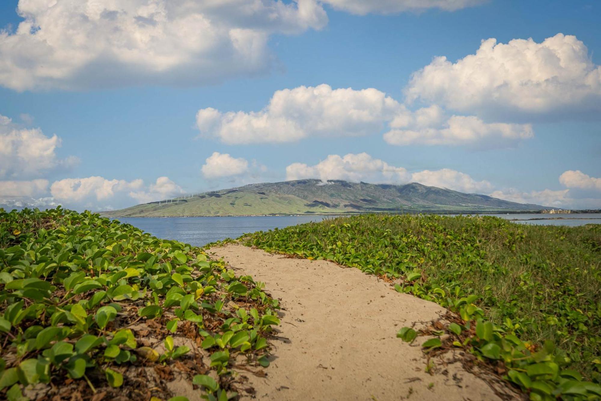 Koa Lagoon 506 Kihei Dış mekan fotoğraf