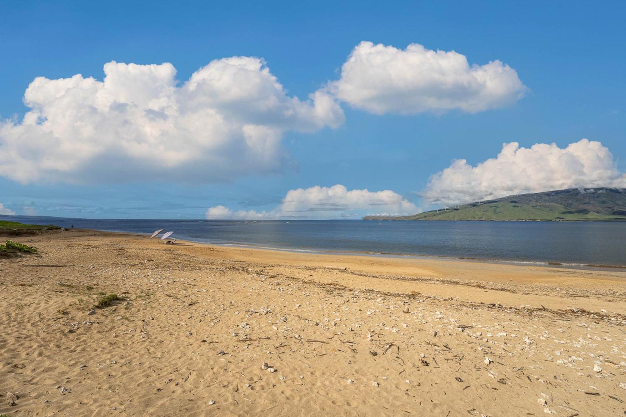 Koa Lagoon 506 Kihei Dış mekan fotoğraf